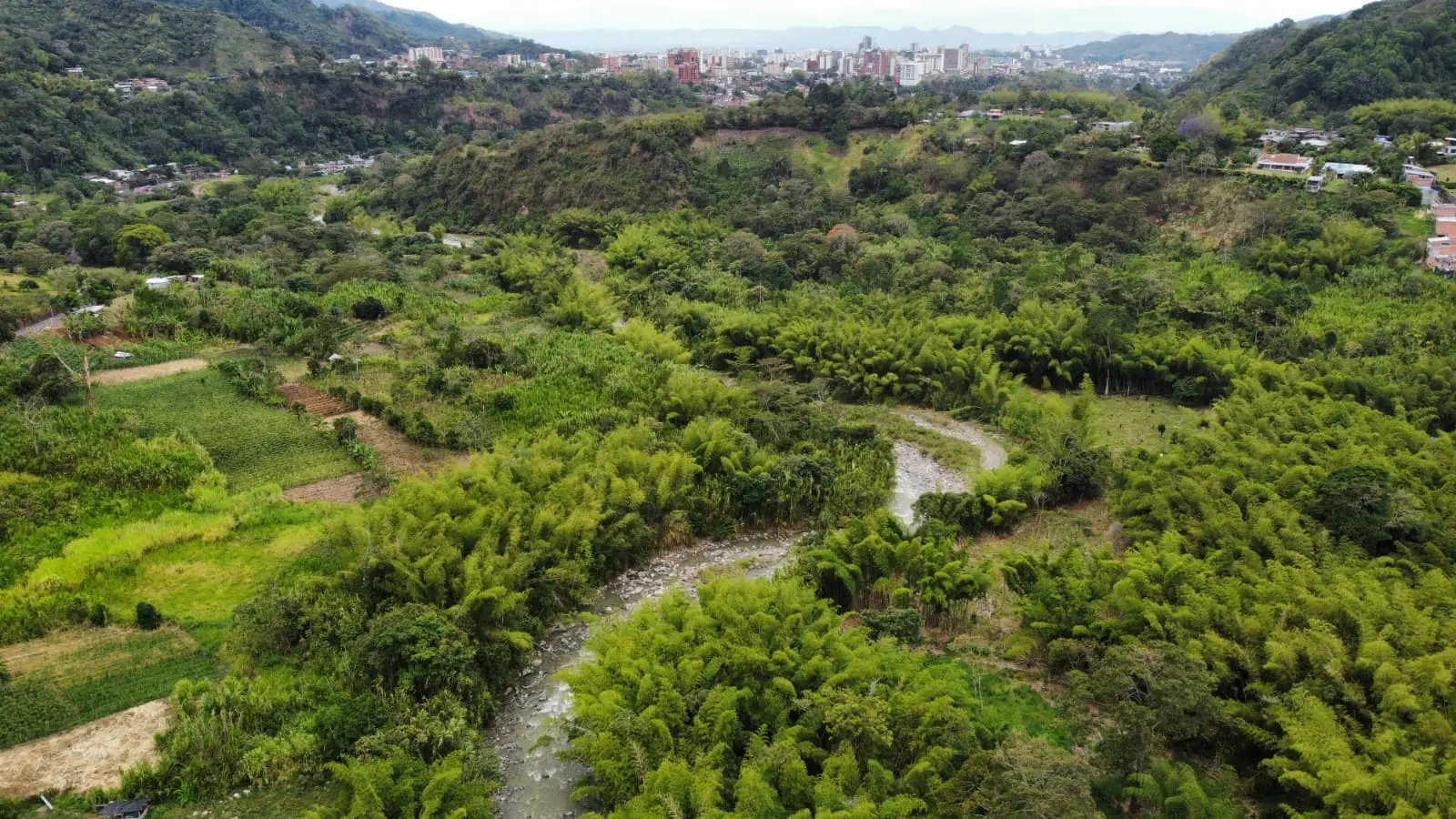 Río Combeima serpenteando entre guaduales con Ibagué al fondo