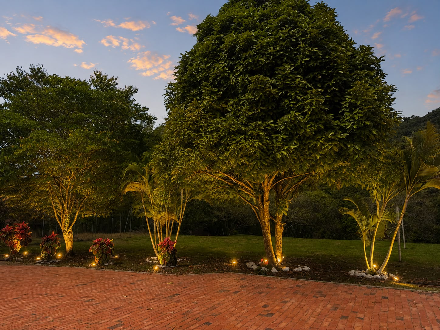 Jardín iluminado al anochecer