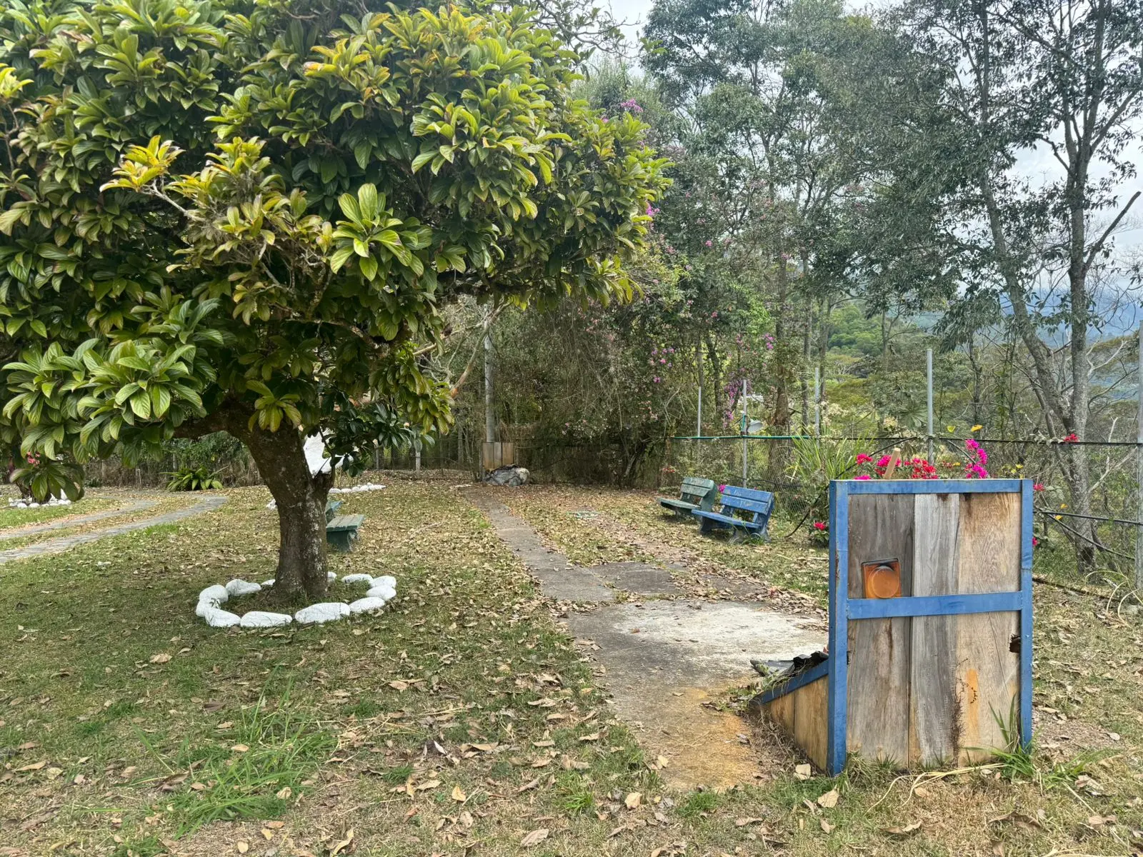 Sendero entre árboles y bancas de descanso